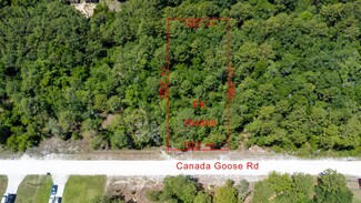 00 Canada Goose Rd, Weeki Wachee, FL 34614