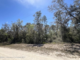 Lot #32 Northwest Ave, Webster, FL 33597
