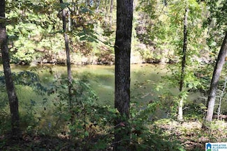 41 Fisher Way Unit 41, Vincent, AL 35178