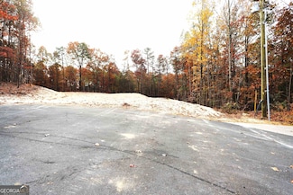 249 Sara Jane Ln, Summerville, GA 30747