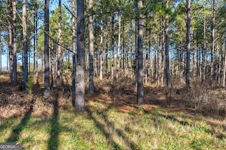 0 Hwy 77 Unit 10456300, Lexington, GA 30648