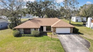 17306 Lynndan Dr, Lutz, FL 33548