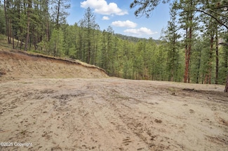 7 Wilderness Trail, Newcastle, WY 82701