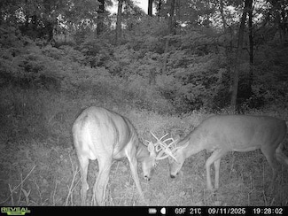 40 Acre Unit Walnut Lane, Richland Center, WI 53581