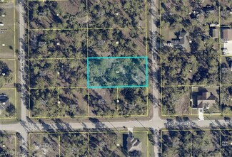 2303 Jackson Ave, Alva, FL 33920