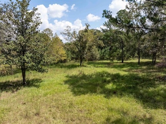 0 Saint Thomas Church Rd Unit 381355, Madison, FL 32340