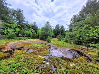 12565 Arnoldville Rd, Harrisville, NY 13648