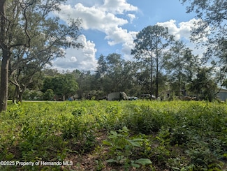 0 Merlin Cir Unit 2253706, Dade City, FL 33523