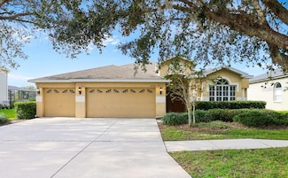 6309 Bridgevista Dr, Lithia, FL 33547