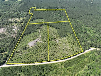 36 Westville Rd, Groveton, TX 75854