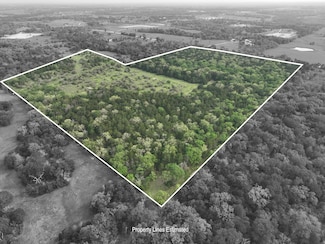 0 Tbd (43 65 Acres) County Road 126, Caldwell, TX 77836