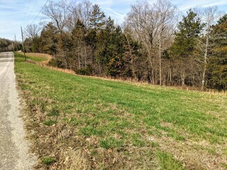 1085 Lake Point Rd, Kissee Mills, MO 65680