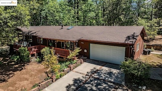 20 Rhoda Niderost Ln 1, West Point, CA 95255