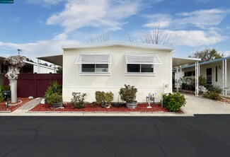 31 Terrace Dr, Concord, CA 94518