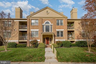 4 Rainflower Path Unit 104, Sparks Glencoe, MD 21152