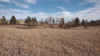 13496 Sturgis Rd, Piedmont, SD 57769