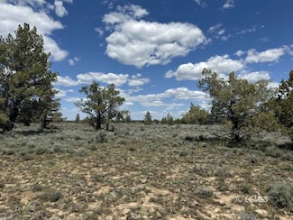 0 Wildpine Way Unit 3007290, Chiloquin, OR 97624