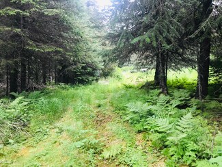 38922 Eagleaerie Wilderness Rd, Homer, AK 99603