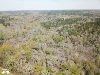 1630 Cr-24, Auburn, AL 36083