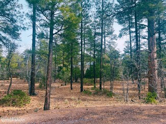 6331 E Starlight Ridge Rd Unit 19, Lakeside, AZ 85929