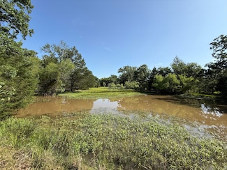 Tract 4 Fcr 611, Teague, TX 75860