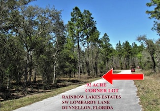0 SW Lombardy Ln Unit MFRTB8418738, Dunnellon, FL 34431