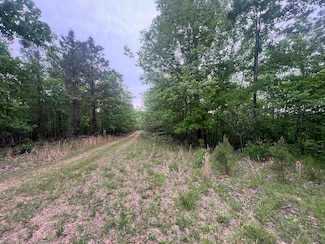 0 County Rd 426, Ellington, MO 63638