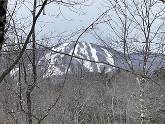 Lot 2 Twin Farm Rd, Winhall, VT 05340