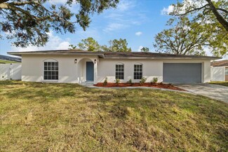 26778 Hickory Loop, Lutz, FL 33559