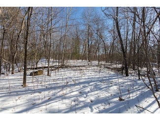 Lot 17 133rd St, Balsam Lake, WI 54001