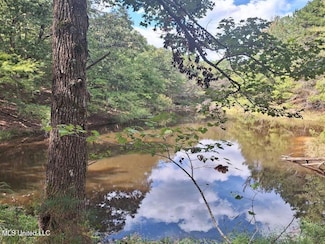 1788 County Rd, Water Valley, MS 38965