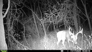 4379 Cr 2800, Coffeyville, KS 67337