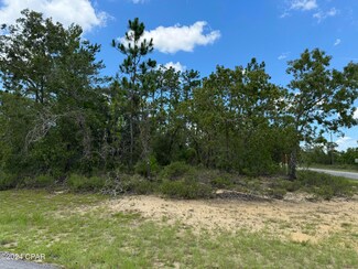 0000 Carey Blvd, Chipley, FL 32428