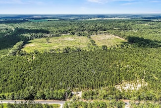 Lot 10 Old Ninety Six Indian Trail, Wagener, SC 29164