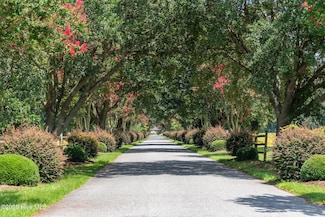 400 Island Dr, Chocowinity, NC 27817