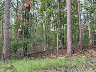 V/L W Pinecrest Cir, Hillman, MI 49746