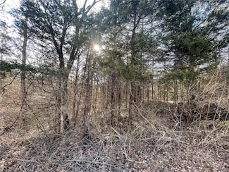 202 Valley Dr, Valle Township, MO 63020