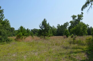 TBD Sam Poppell Rd, Perry, FL 32347