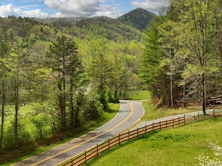 9.13 AC Hells Hollow Rd, Blue Ridge, GA 30513