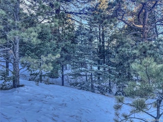 1174 Monarch Dr, Cripple Creek, CO 80813