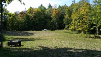 0 State Route 3 Unit S1077881, Diana, NY 13665