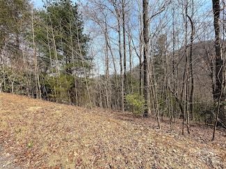 TBD Wood Stone Dr Unit 14, Edneyville, NC 28792