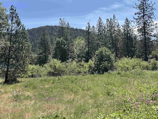 xxxxx Seiad Creek Rd, Seiad Valley, CA 96087