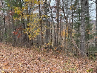 167 Balfour Dr, Harriman, TN 37748