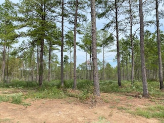 24633 Lot 28 Fm 844, Huntington, TX 75949