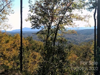 LOT 207 Golden Ridge Dr, Lake Lure, NC 28746