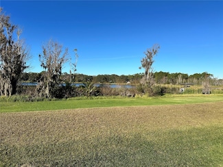 1113 Rally Dr, Polk City, FL 33868