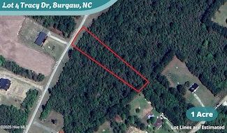 Lot 4 Tracy Dr, Burgaw, NC 28425
