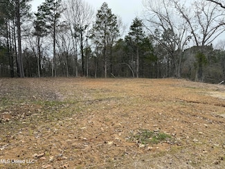 10756 Honey Ridge Dr, Hernando, MS 38632
