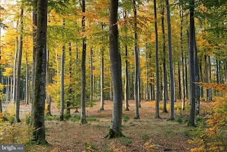 3865 Burnt House Hill Rd, Doylestown, PA 18902